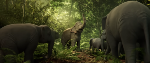 Elegy of Elephant