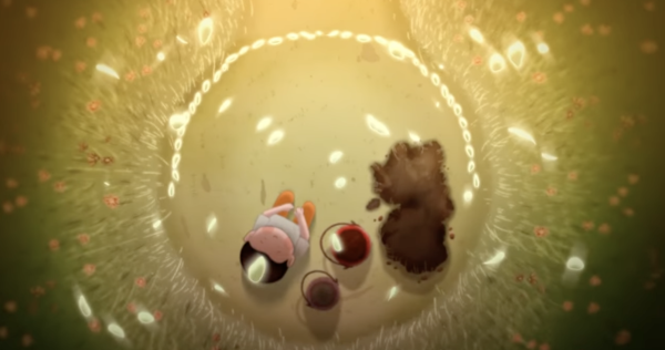 Bog by Éabha Bortolozzo, Jack Kirwan
