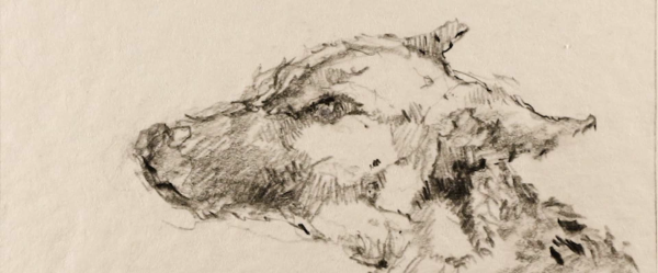 The Dog's Leash