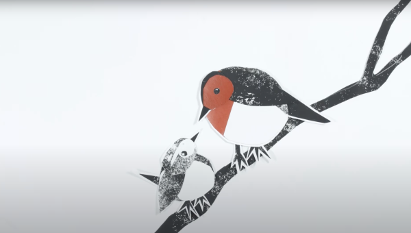 The Robin and the Wren by Léa Sautin
