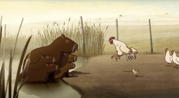Capybaras