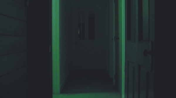 fugue notes by Selina Ershadi