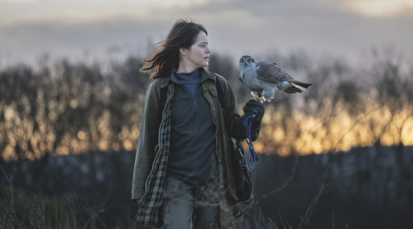 H Is for Hawk by Philippa Lowthorpe