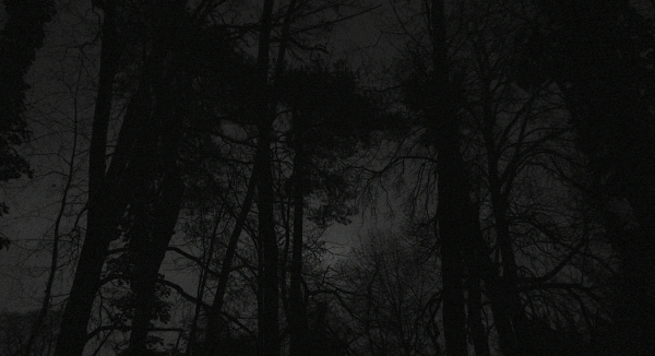 Obscure Night – “Ain’t I a child?”