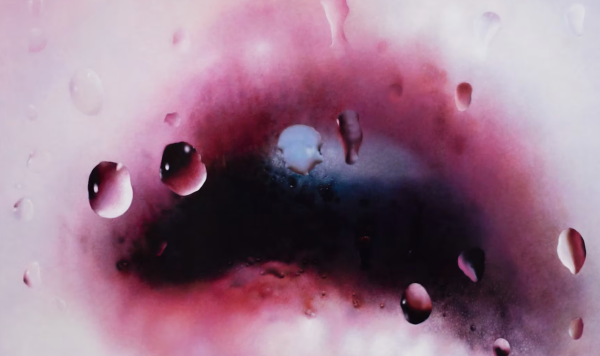 Marilyn Minter: Pretty/Dirty by Jennifer Ash Rudick, Amanda M. Benchley