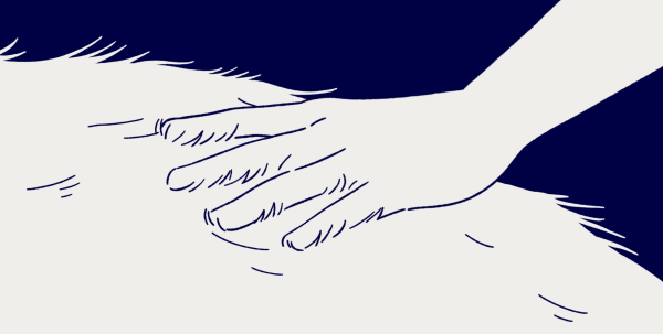 The Empty Panel