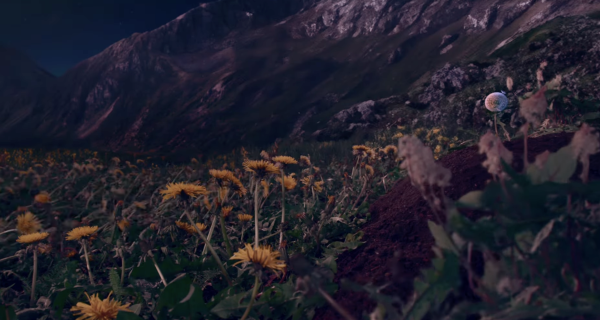 Dandelion's Odyssey
