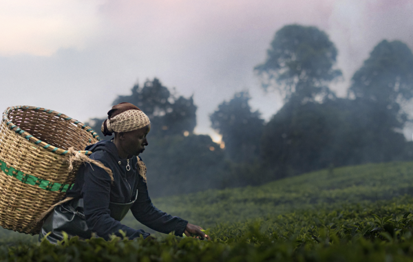 Kikuyu Land by Andrew H. Brown, Bea Wangondu