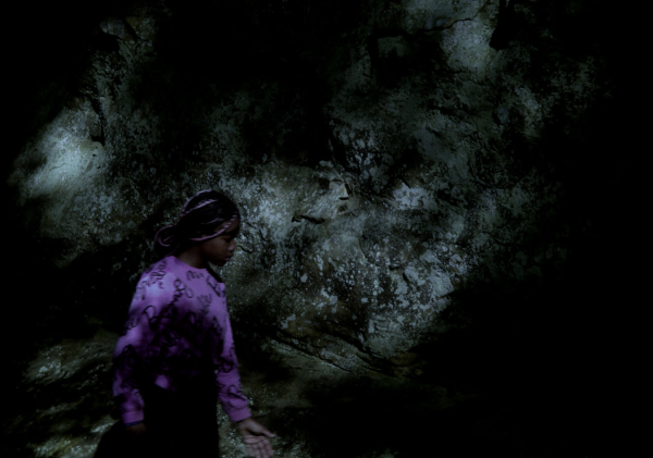 The Creature of Darkness by Lisa Marie Malloy, Ray Whitaker