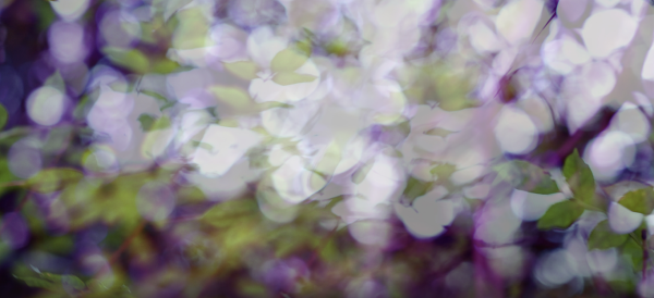 gestures toward Plant Vision