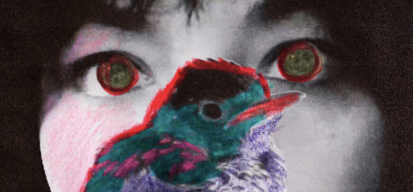 Where Do Birds Die? by Daniela Estay Castillo