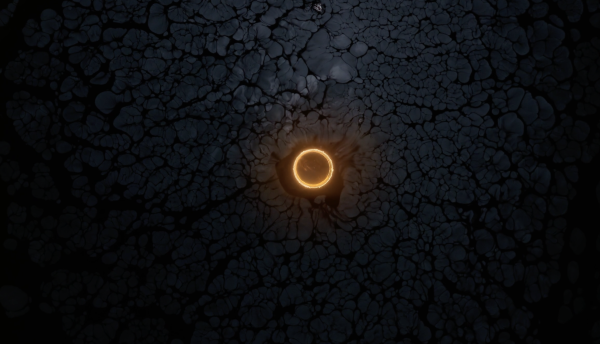 Stellar Iris