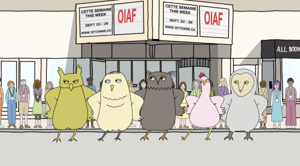 Signal Film OIAF 2025