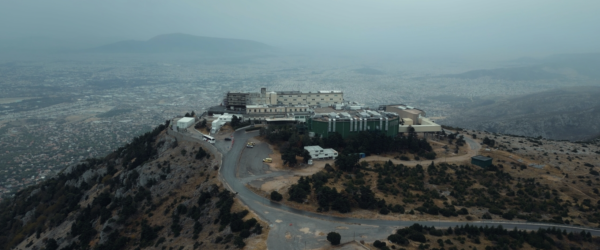 The Last Fir by Ion Efthimiou, Panagiotis Kiriakakis