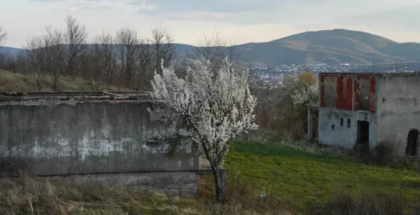 The Divided City of Mitrovica