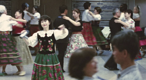 Japanese Kujawiak by Dagmara Furgał