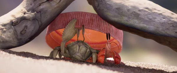 Shellfish by Anna Danton and 6 co-directors