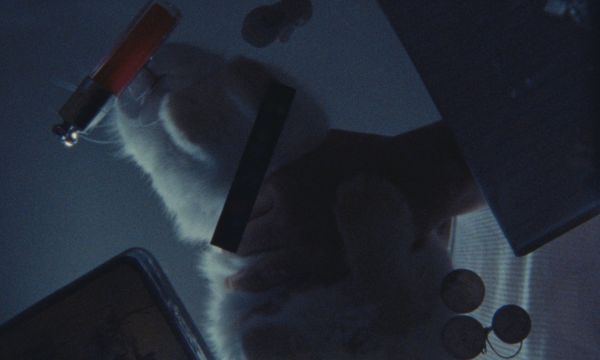 Bunnylovr