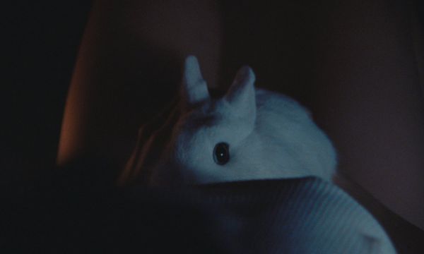 Bunnylovr