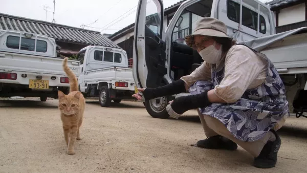 The Cats of Gokogu Shrine