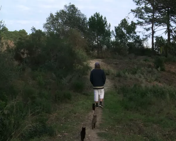 In the Open