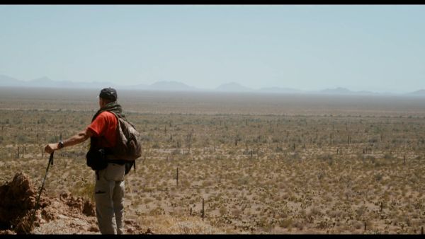 Desert Angel