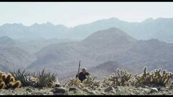 Desert Angel