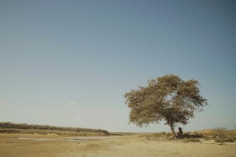 Soul of the Desert