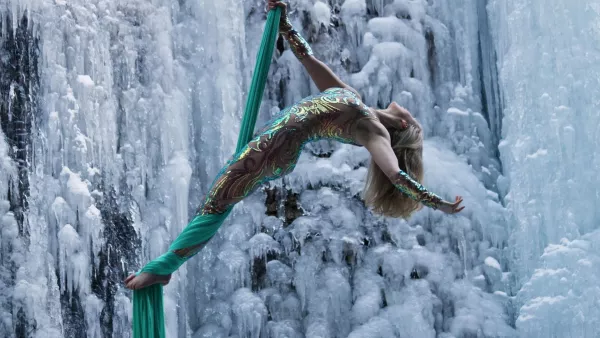 Wild Aerial
