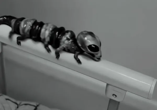 Small talk about the Reptilian