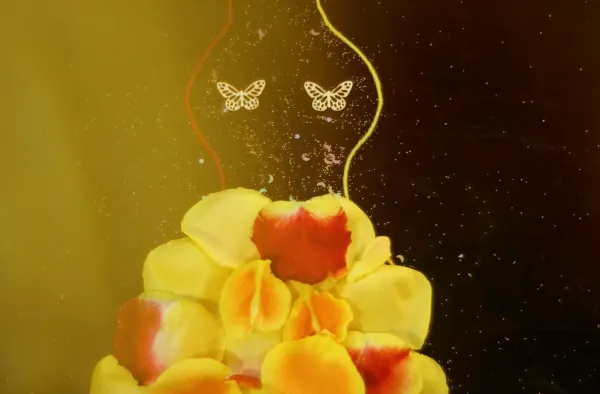 Aroma(n)tic by Darko Jovanov, Dejan Jovanov
