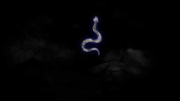 White Snake