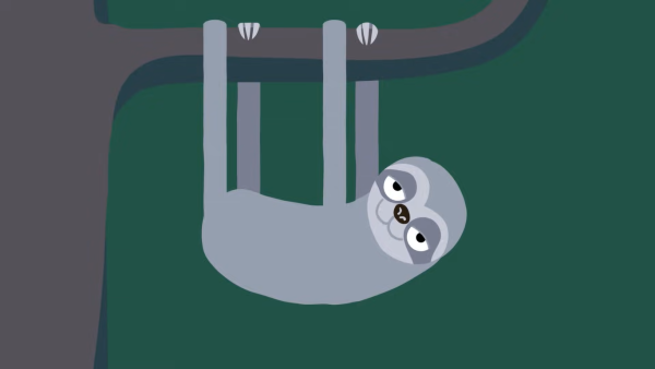 Sloth