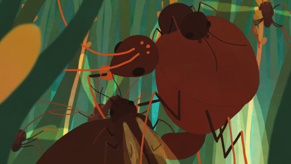 Colony