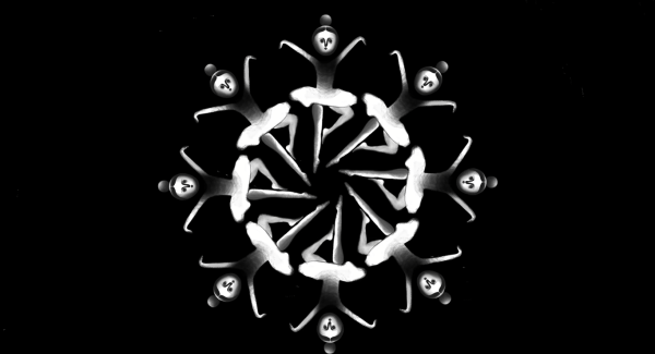 Downfall