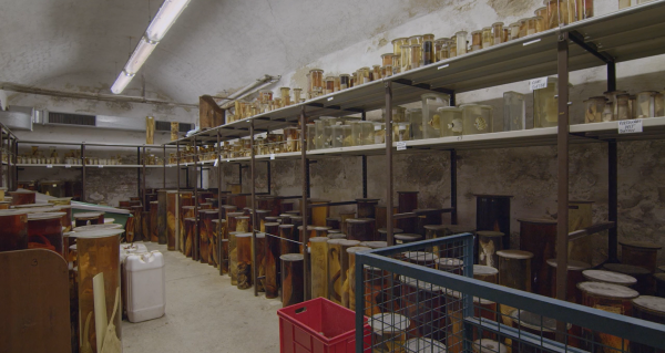 Archive of the Future