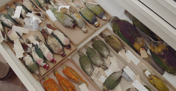 Archive of the Future