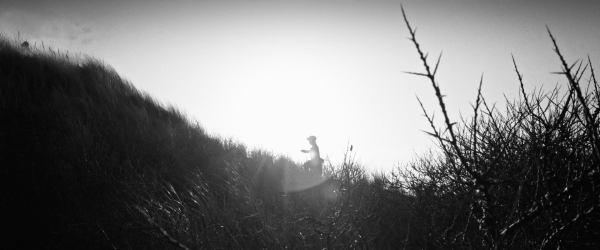 The Shore