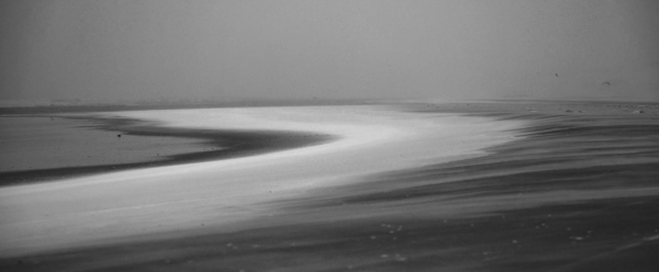 The Shore