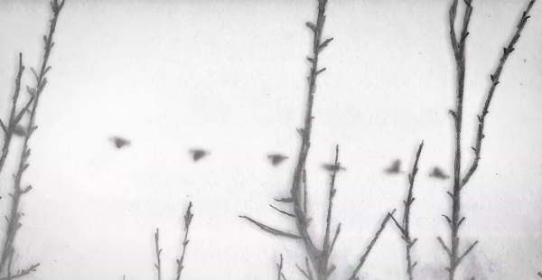 Grey is the Color of Hope