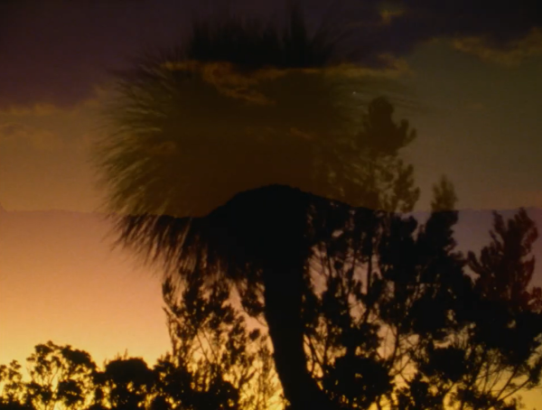 Archipelago of Earthen Bones - To Bunya
