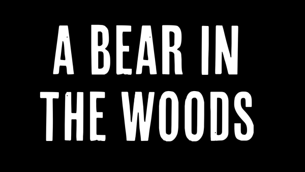 A Bear in the Woods