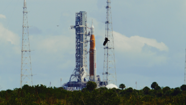 Space Coast
