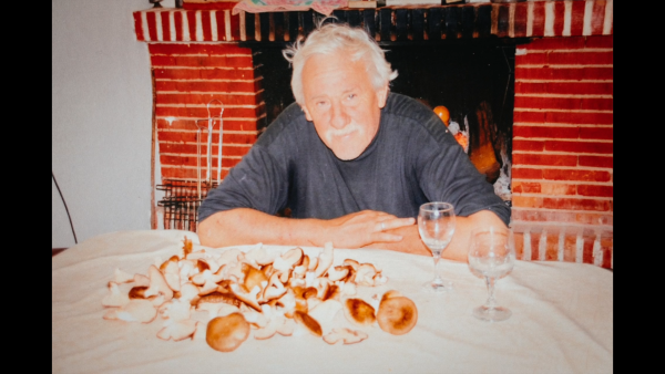 The Mushroom Thief