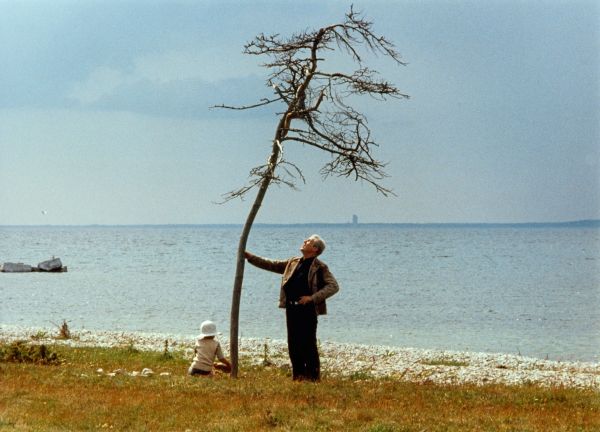 The Sacrifice by Andrei Tarkovsky