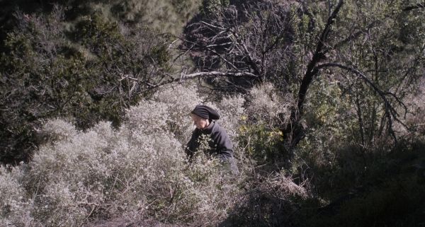 The Undergrowth