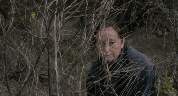 The Undergrowth