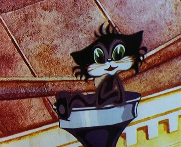 Scarecrow-Meow