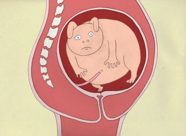 Birth