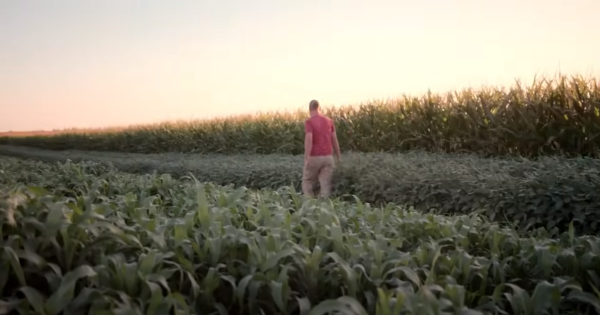 Food Inc. 2